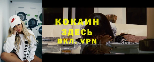 стаф Белокуриха