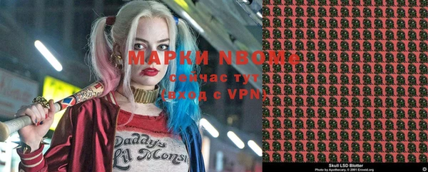 стаф Белокуриха