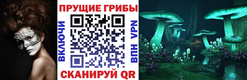 Псилоцибиновые грибы Cubensis  Енисейск 